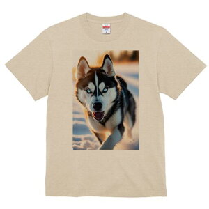 VxAnXL[ TVc  j[NfUCfB[X t@  t vg lJWA 킢 lԗp Mtg I ҏ΍  VxAnXL[ ~ z