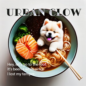 [ `E`E ǂԂ   NbVJo[ 45×45cm Aj}   NbV{̕t `