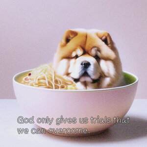 [ `E`E ǂԂ NbVJo[ 45×45cm Aj}   NbV{̕t `