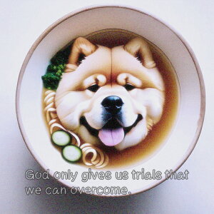 [ `E`E ǂԂ  ubR[ NbVJo[ 45×45cm Aj}   NbV{̕t `