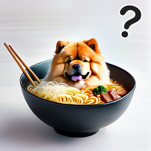 [ `E`E   ǂԂ NbVJo[ 45×45cm Aj}   NbV{̕t `