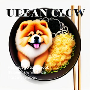 [ `E`E k[h  NbVJo[ 45×45cm Aj}   NbV{̕t `