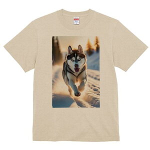 VxAnXL[ TVc  j[NfUCfB[X t@  t vg lJWA 킢 lԗp Mtg I ҏ΍  VxAnXL[ ~ z [Ă