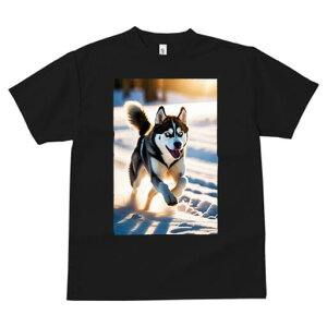 VxAnXL[ TVc  j[NfUCfB[X t@  t vg lJWA 킢 lԗp Mtg I ҏ΍  VxAnXL[ ~ z