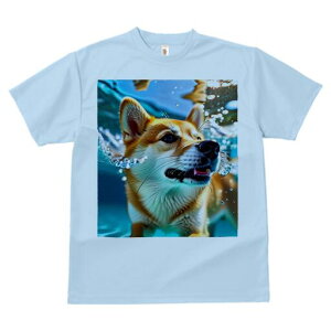 Č TVc  j[NfUCfB[X t@  t vg lJWA 킢 lԗp Mtg I ҏ΍  Č  