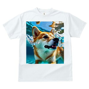 Č TVc  j[NfUCfB[X t@  t vg lJWA 킢 lԗp Mtg I ҏ΍  Č  