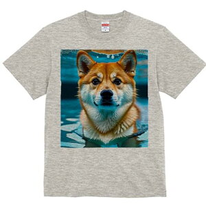 Č TVc  j[NfUCfB[X t@  t vg lJWA 킢 lԗp Mtg I ҏ΍  Č  