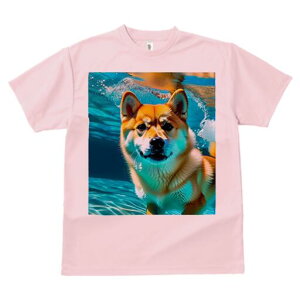 Č TVc  j[NfUCfB[X t@  t vg lJWA 킢 lԗp Mtg I ҏ΍  Č C