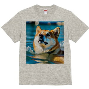 Č TVc  j[NfUCfB[X t@  t vg lJWA 킢 lԗp Mtg I ҏ΍  Č C