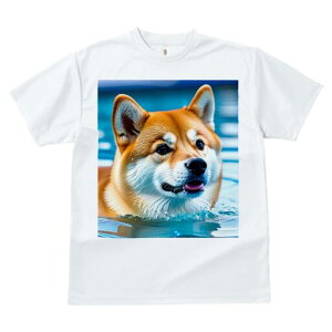 Č TVc  j[NfUCfB[X t@  t vg lJWA 킢 lԗp Mtg I ҏ΍  Č v[