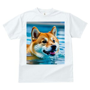 Č TVc  j[NfUCfB[X t@  t vg lJWA 킢 lԗp Mtg I ҏ΍  Č  v[