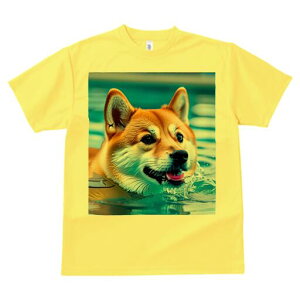 Č TVc  j[NfUCfB[X t@  t vg lJWA 킢 lԗp Mtg I ҏ΍  Č  v[