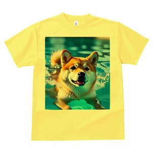 Č TVc  j[NfUCfB[X t@  t vg lJWA 킢 lԗp Mtg I ҏ΍  Č v[