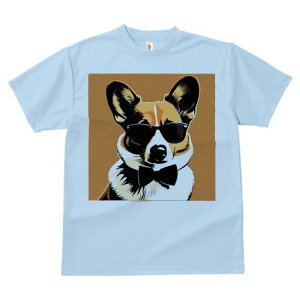 R[M[ TVc  j[NfUCfB[X t@  t vg lJWA 킢 lԗp Mtg I ҏ΍ TOX R[M[ lN^C