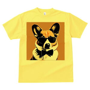 R[M[ TVc  j[NfUCfB[X t@  t vg lJWA 킢 lԗp Mtg I ҏ΍ TOX R[M[ lN^C