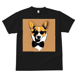 R[M[ TVc  j[NfUCfB[X t@  t vg lJWA 킢 lԗp Mtg I ҏ΍ TOX R[M[ lN^C 