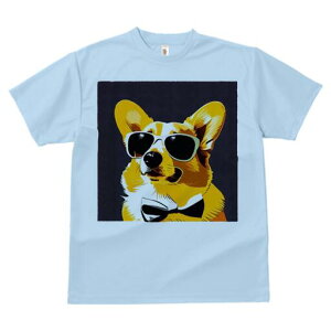 R[M[ TVc  j[NfUCfB[X t@  t vg lJWA 킢 lԗp Mtg I ҏ΍ TOX R[M[ lN^C