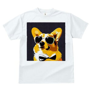 R[M[ TVc  j[NfUCfB[X t@  t vg lJWA 킢 lԗp Mtg I ҏ΍ TOX R[M[ lN^C