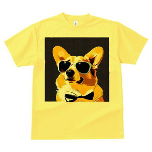 R[M[ TVc  j[NfUCfB[X t@  t vg lJWA 킢 lԗp Mtg I ҏ΍ TOX R[M[ lN^C