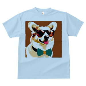 R[M[ TVc  j[NfUCfB[X t@  t vg lJWA 킢 lԗp Mtg I ҏ΍ TOX R[M[ lN^C