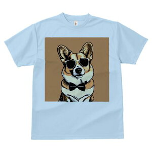 R[M[ TVc  j[NfUCfB[X t@  t vg lJWA 킢 lԗp Mtg I ҏ΍ TOX R[M[ lN^C