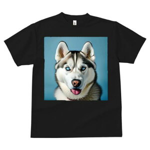 VxAnXL[ TVc  j[NfUCfB[X t@  t vg lJWA 킢 lԗp Mtg I ҏ΍ VxAnXL[