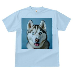 VxAnXL[ TVc  j[NfUCfB[X t@  t vg lJWA 킢 lԗp Mtg I ҏ΍ VxAnXL[