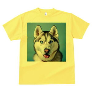 VxAnXL[ TVc  j[NfUCfB[X t@  t vg lJWA 킢 lԗp Mtg I ҏ΍ VxAnXL[