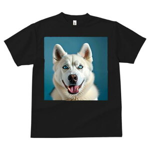 nXL[ TVc  j[NfUCfB[X t@  t vg lJWA 킢 lԗp Mtg I ҏ΍ nXL[