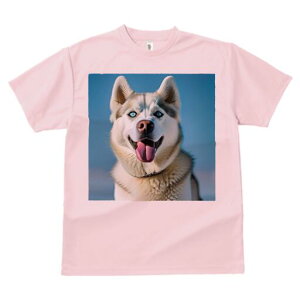 nXL[ TVc  j[NfUCfB[X t@  t vg lJWA 킢 lԗp Mtg I ҏ΍ nXL[