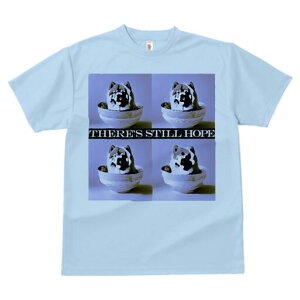 Hc TVc  j[NfUCfB[X t@  t vg lJWA 킢 lԗp Mtg I ҏ΍ {E Hc