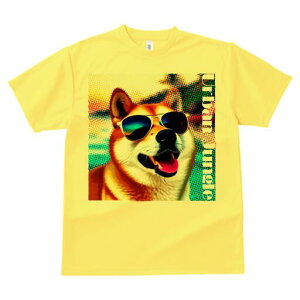 Č TVc  j[NfUCfB[X t@  t vg lJWA 킢 lԗp Mtg I ҏ΍ TOX Č