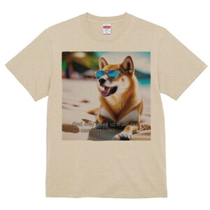 Č TVc  j[NfUCfB[X t@  t vg lJWA 킢 lԗp Mtg I ҏ΍ TOX Č r[`