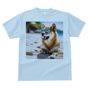 Č TVc  j[NfUCfB[X t@  t vg lJWA 킢 lԗp Mtg I ҏ΍ TOX Č r[`