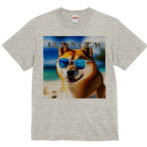 Č TVc  j[NfUCfB[X t@  t vg lJWA 킢 lԗp Mtg I ҏ΍ TOX Č r[`