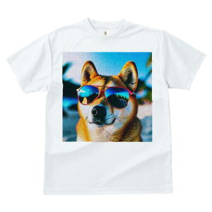 Č TVc  j[NfUCfB[X t@  t vg lJWA 킢 lԗp Mtg I ҏ΍ TOX Č