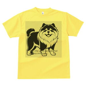 Hc TVc  j[NfUCfB[X t@  t vg lJWA 킢 lԗp Mtg I ҏ΍ Hc