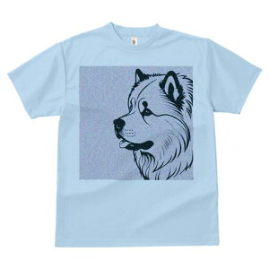 nXL[ TVc  j[NfUCfB[X t@  t vg lJWA 킢 lԗp Mtg I ҏ΍  nXL[ ybg D 킢