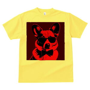 R[M[ TVc  j[NfUCY LbY t@  t vg lJWA 킢 lԗp Mtg I ҏ΍ TOX R[M[ lN^C