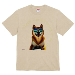 Č TVc  j[NfUCfB[X t@  t vg lJWA 킢 lԗp Mtg I ҏ΍ TOX Č