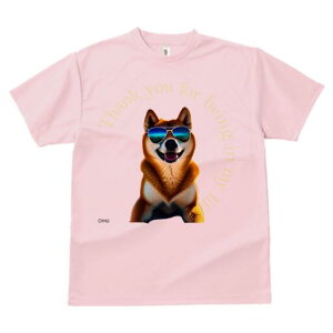 Č TVc  j[NfUCfB[X t@  t vg lJWA 킢 lԗp Mtg I ҏ΍ TOX Č