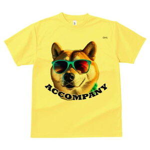 Č TVc  j[NfUCfB[X t@  t vg lJWA 킢 lԗp Mtg I ҏ΍ TOX Č