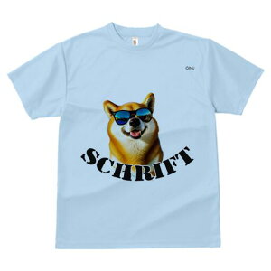 Č TVc  j[NfUCfB[X t@  t vg lJWA 킢 lԗp Mtg I ҏ΍ TOX Č