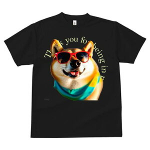 Č TVc  j[NfUCfB[X t@  t vg lJWA 킢 lԗp Mtg I ҏ΍ TOX Č 