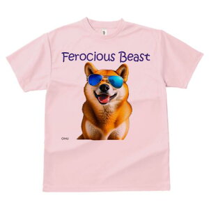 Č TVc  j[NfUCfB[X t@  t vg lJWA 킢 lԗp Mtg I ҏ΍ TOX Č