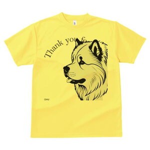 Hc TVc  j[NfUCfB[X t@  t vg lJWA 킢 lԗp Mtg I ҏ΍ Hc