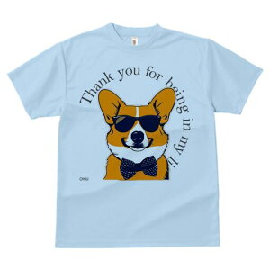 R[M[ TVc  j[NfUCfB[X t@  t vg lJWA 킢 lԗp Mtg I ҏ΍ TOX R[M[ lN^C