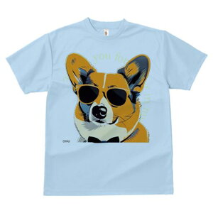 R[M[ TVc  j[NfUCfB[X t@  t vg lJWA 킢 lԗp Mtg I ҏ΍ TOX R[M[ lN^C