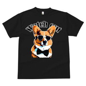 R[M[ TVc  j[NfUCfB[X t@  t vg lJWA 킢 lԗp Mtg I ҏ΍ TOX R[M[ lN^C