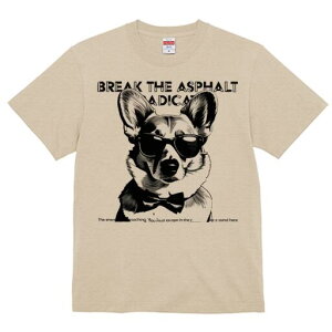 R[M[ TVc  j[NfUCfB[X t@  t vg lJWA 킢 lԗp Mtg I ҏ΍ TOX R[M[ lN^C